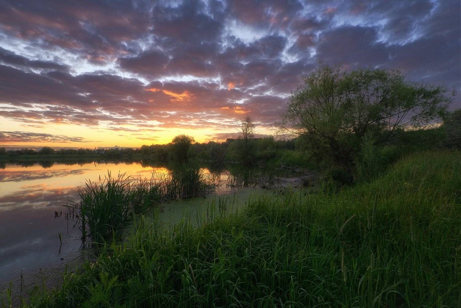 #пейзаж #подмосковье #закат #рассвет #россия #жизнь #мир #чехов #sibirikonium85 , Морозов Юрий