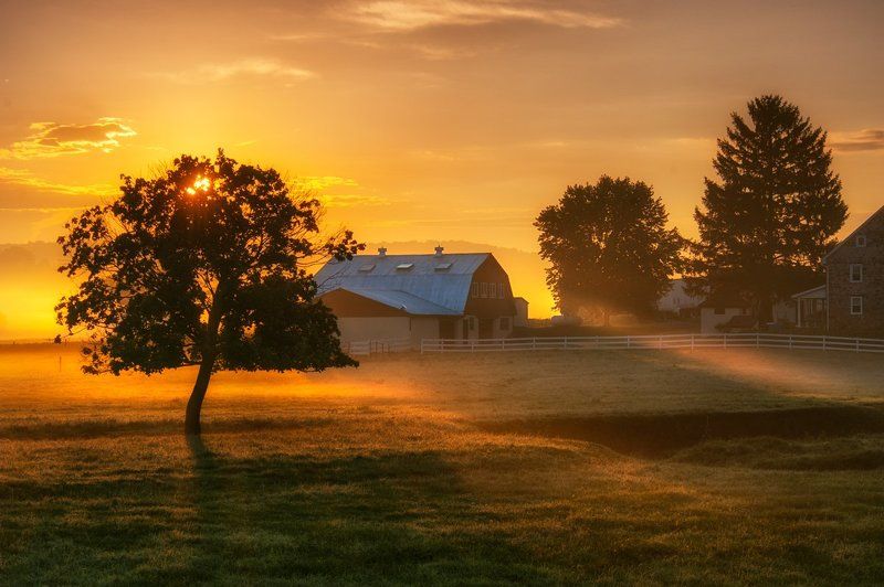 Dawn at the Farm фото превью