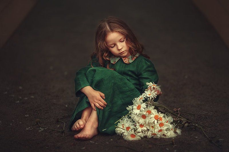 Ромашки фото превью