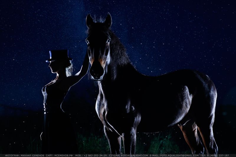 horse Silent night фото превью