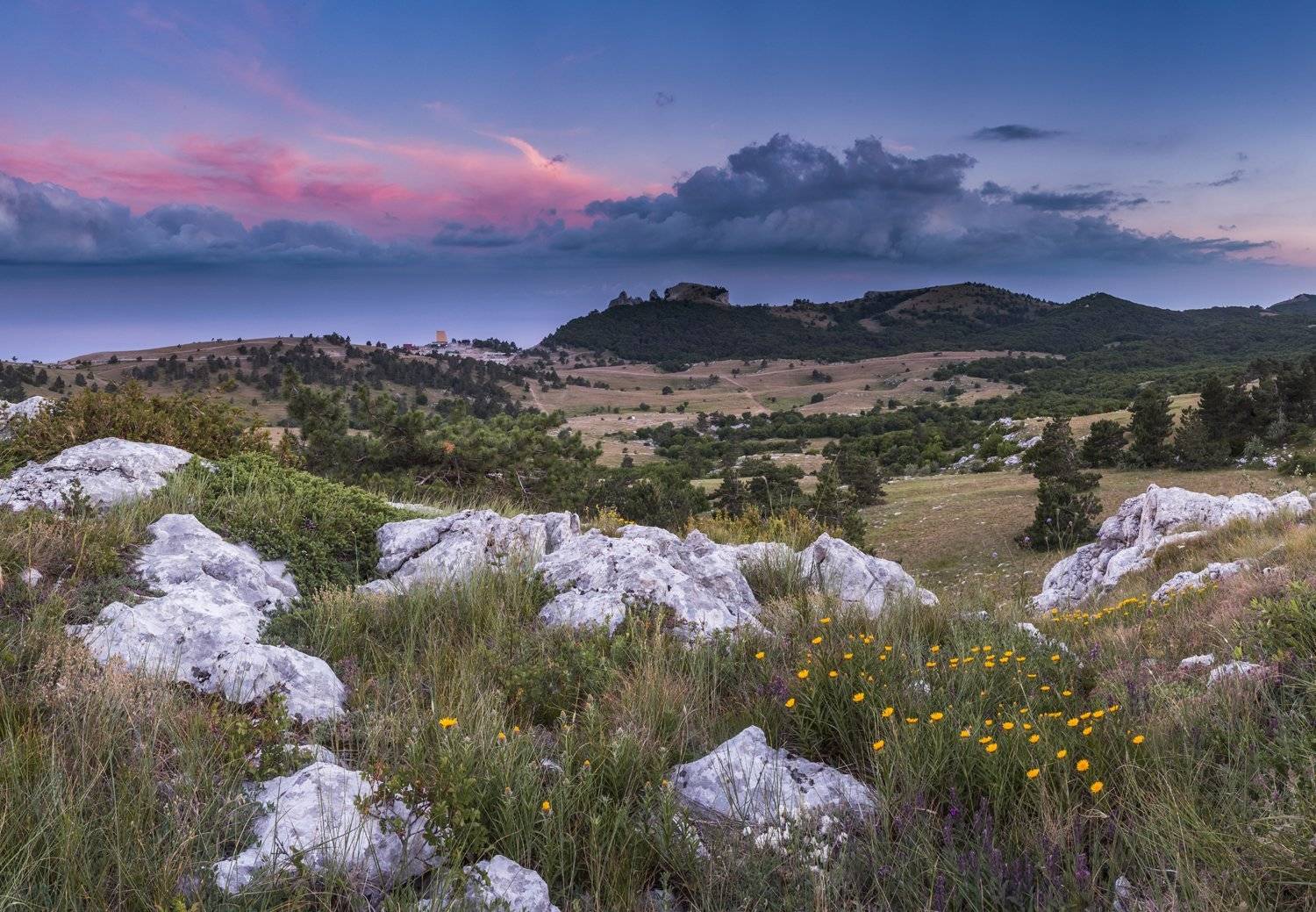 , Станислав Савицкий