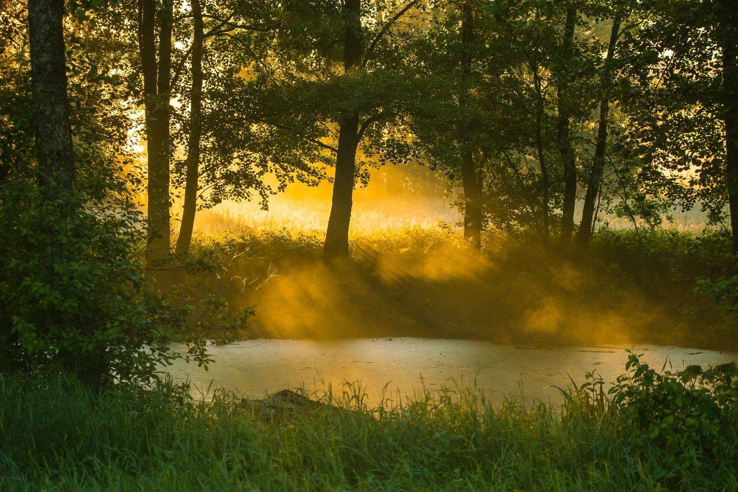 , Александр Шилов