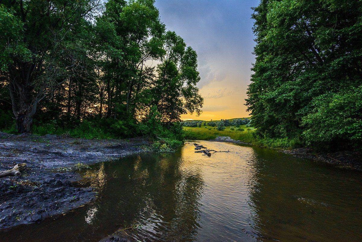 лето, вечер, речка, Владислав Никишин