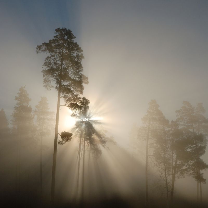 туман Ночь пройдет, наступит утро ясное... Солнце взойдет! фото превью