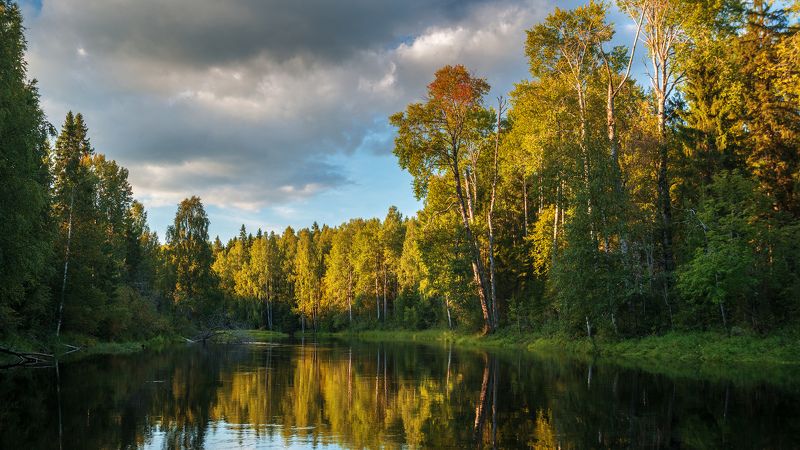 * фото превью