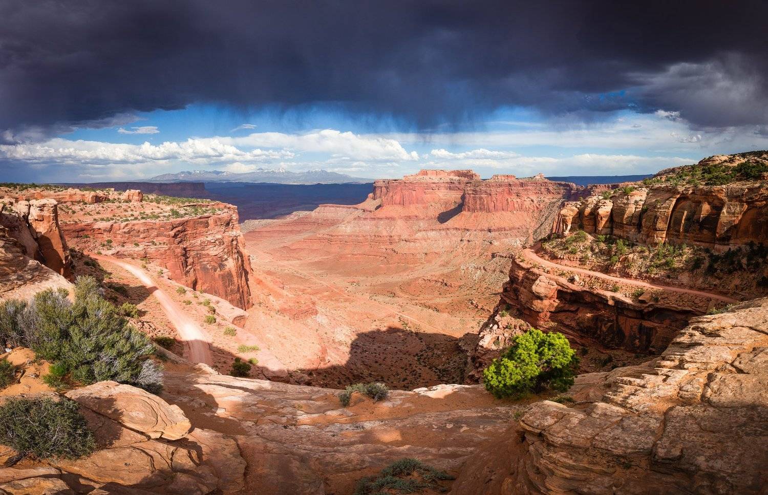 , Кирилл Трубицын