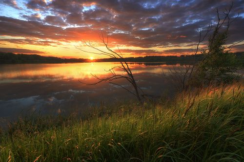 / Подмосковные вечера... /