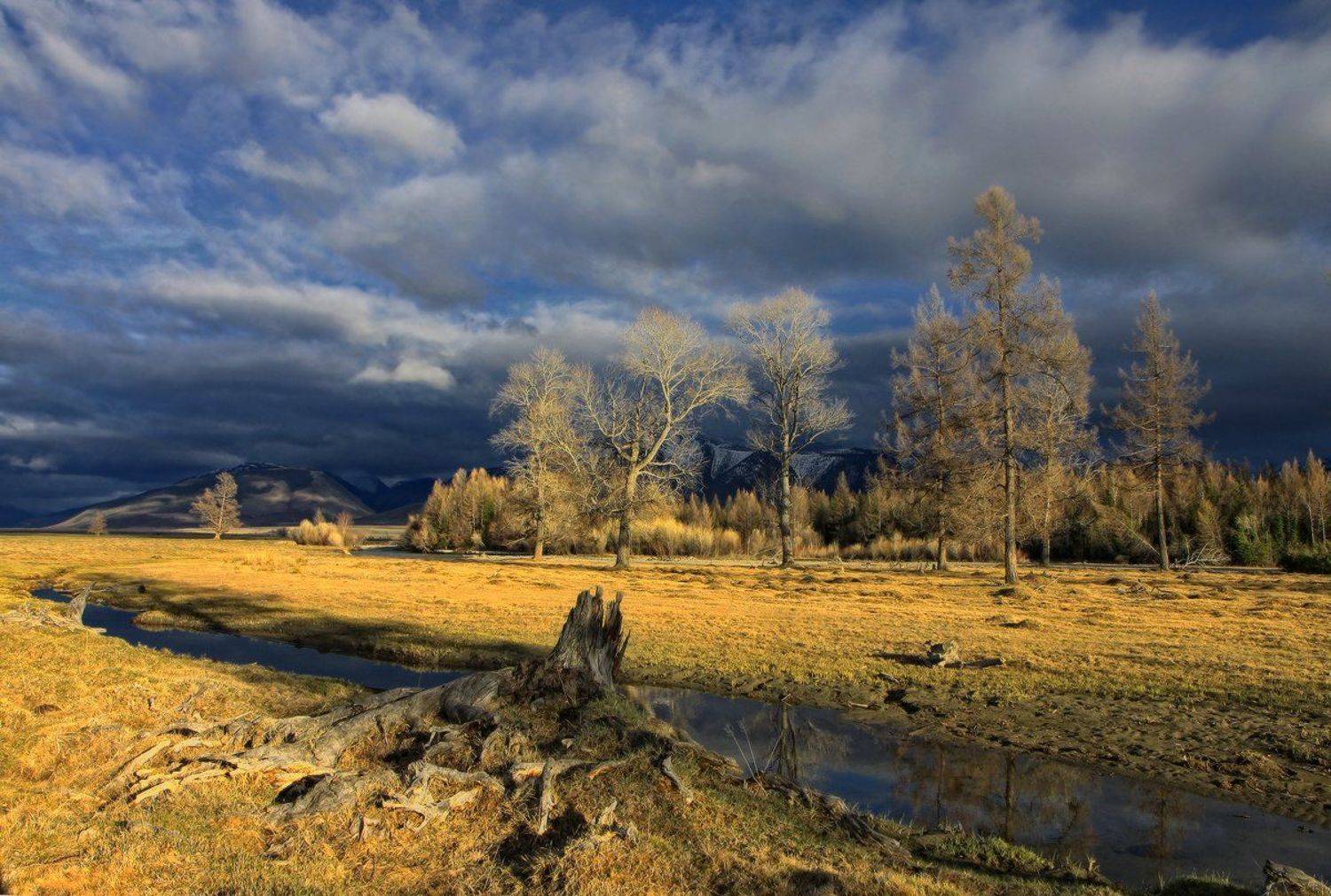 сибирь, алтай, горный алтай, курай, весна, вечер, Галина Хвостенко