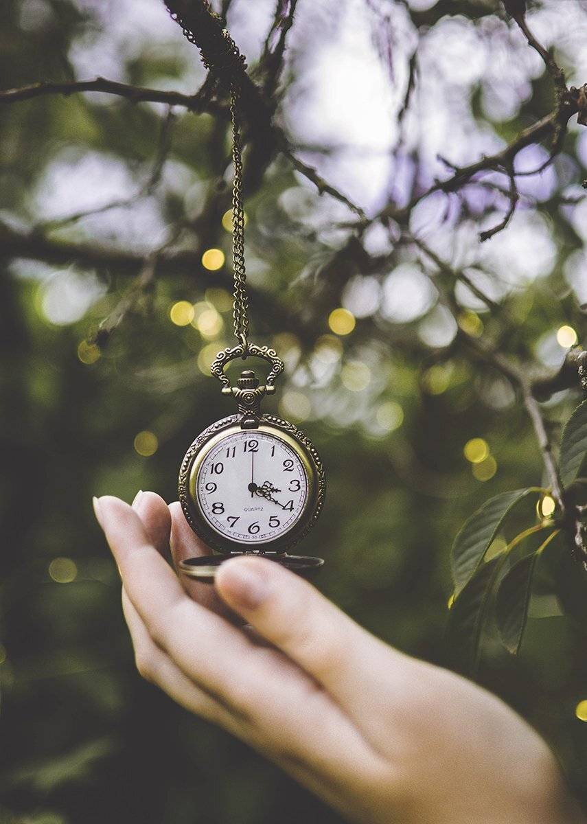 , Чернякова Анна