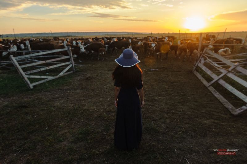 На рассвете фото превью