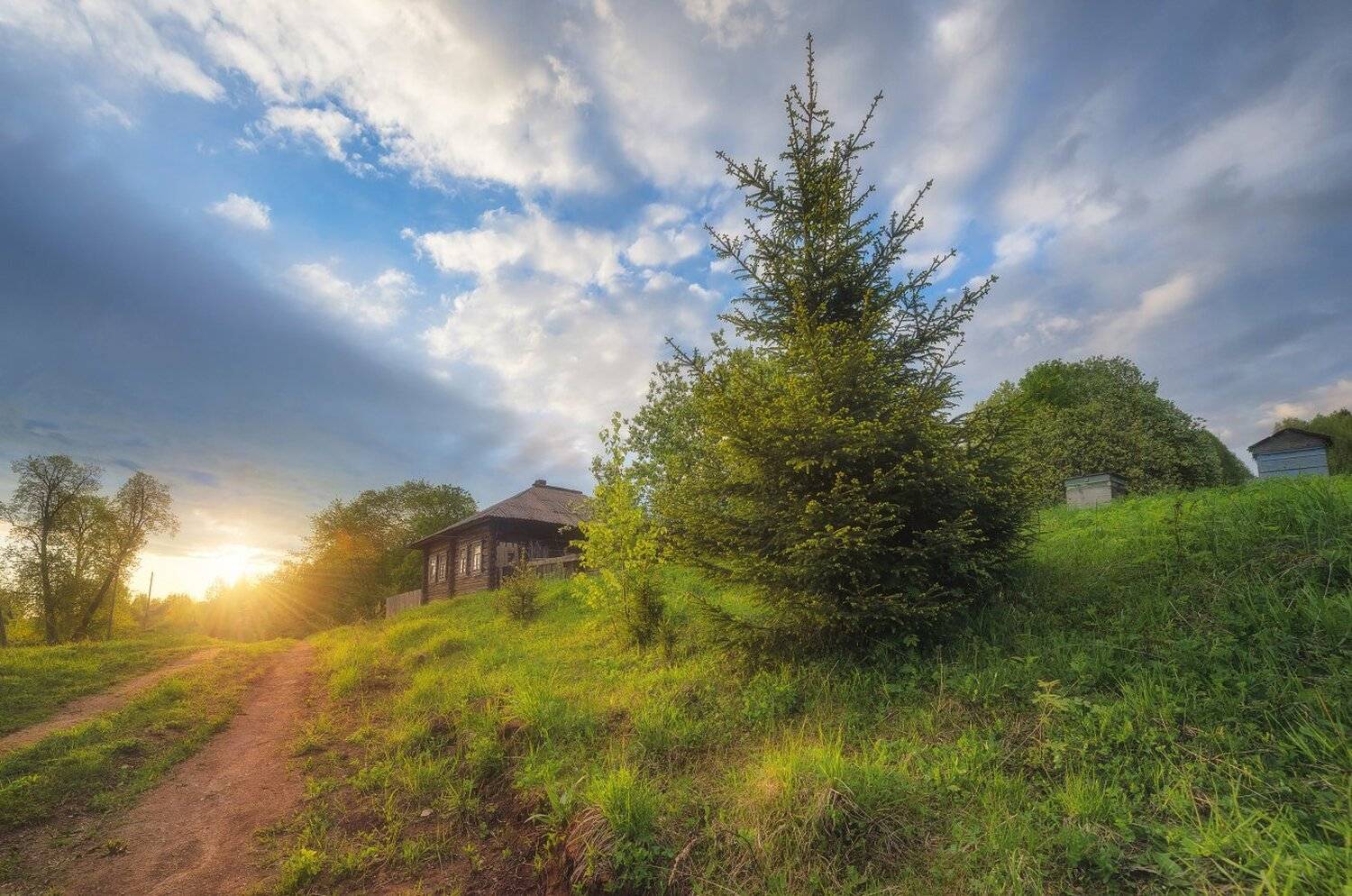 , Устюжанин Михаил