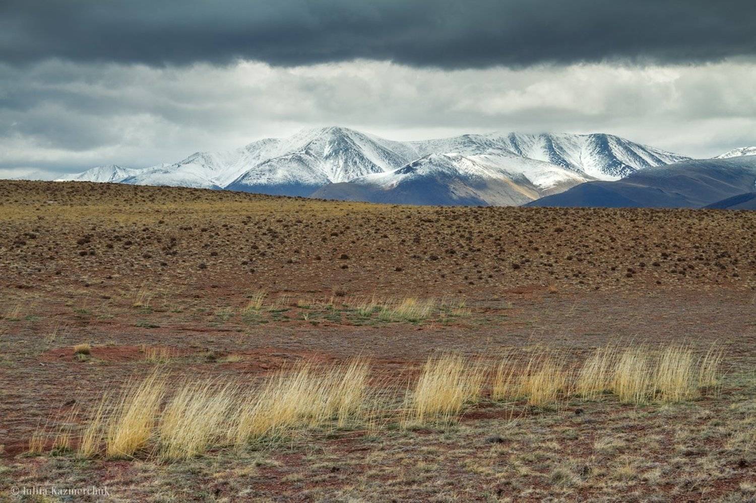 landscape, scenic, nature, travel, outdoor, view, tourism, steppe, spring, mountains, snow, sky, high, grass, Altai, Казмерчук Юлия