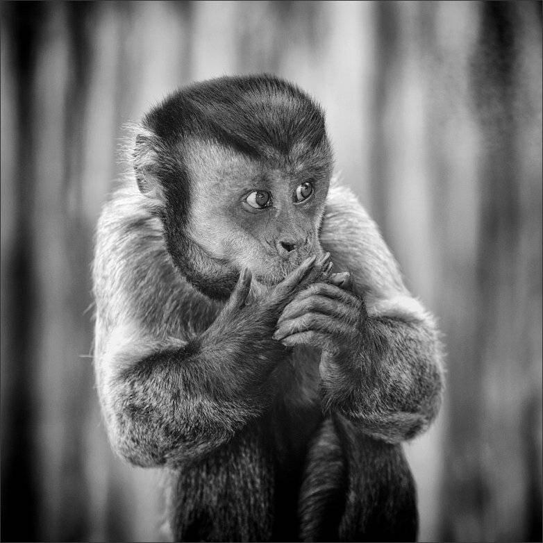 , Сергей Фудиненко