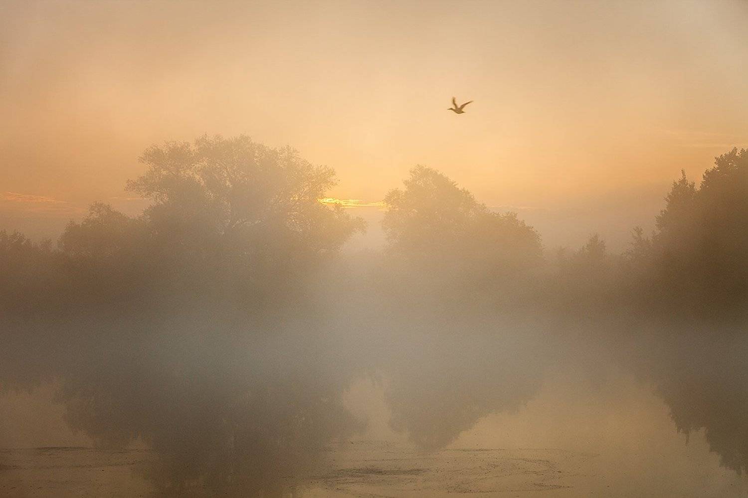 , Юрий Сорокин