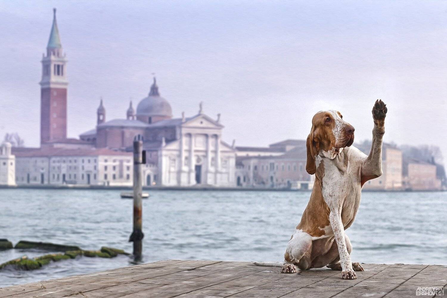 , Андрей Ершов