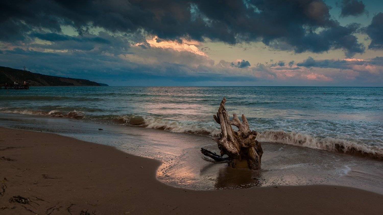 , Света  Черникова