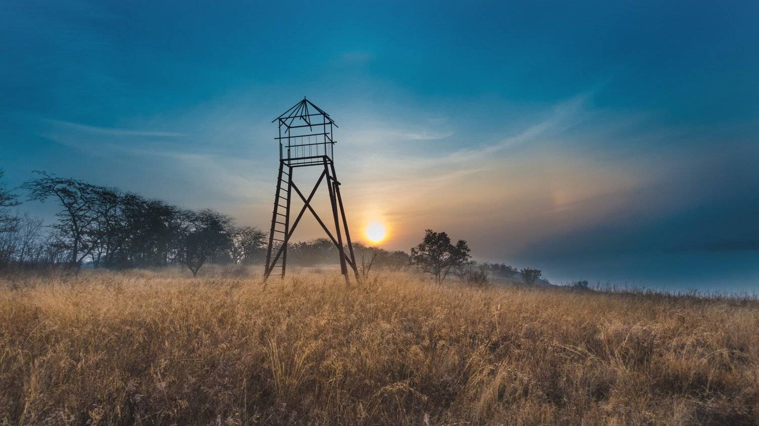 , Волков Анатолий