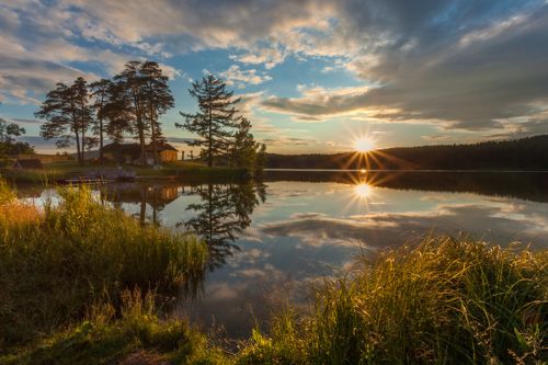 Июльский закатный триптих с комарами