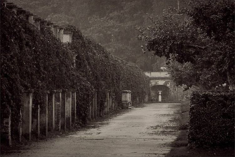 петергоф, Yakimov V