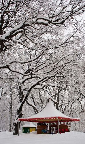 Снежное царство