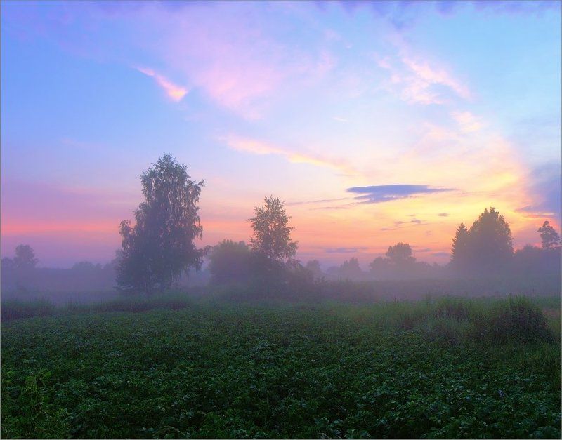 так не бывает фото превью