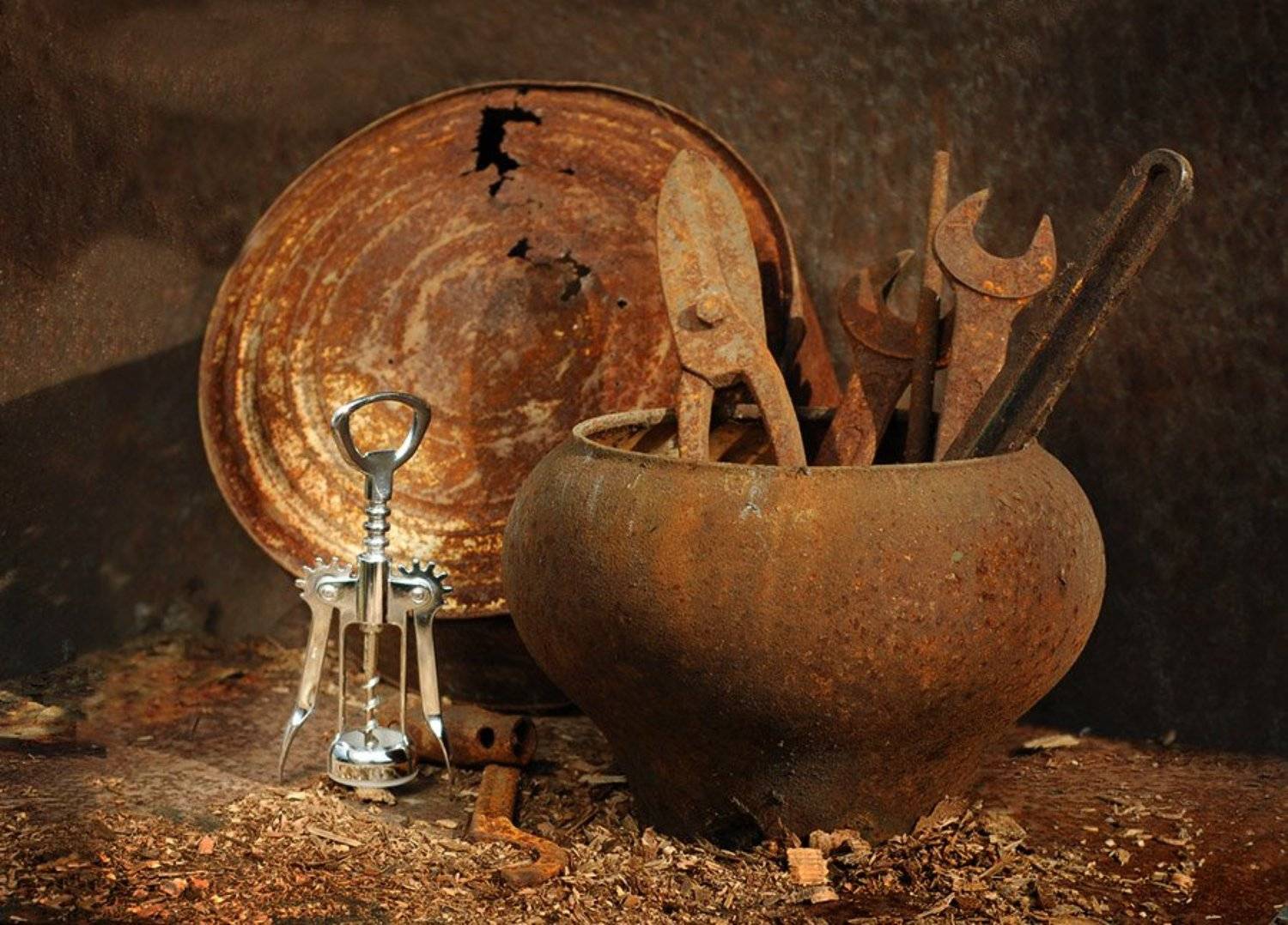 , Елена Топалова