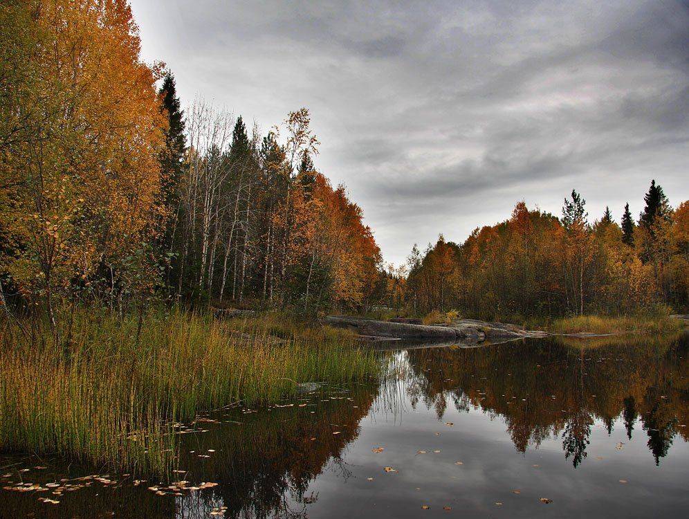 , Александр Коротков