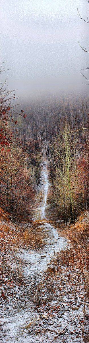 , Дмитрий Журавлев