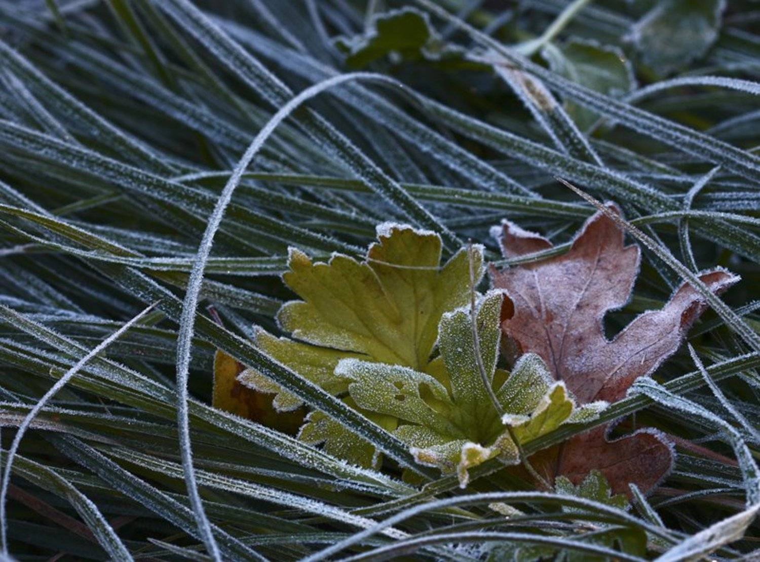 , Юлия Новохатько