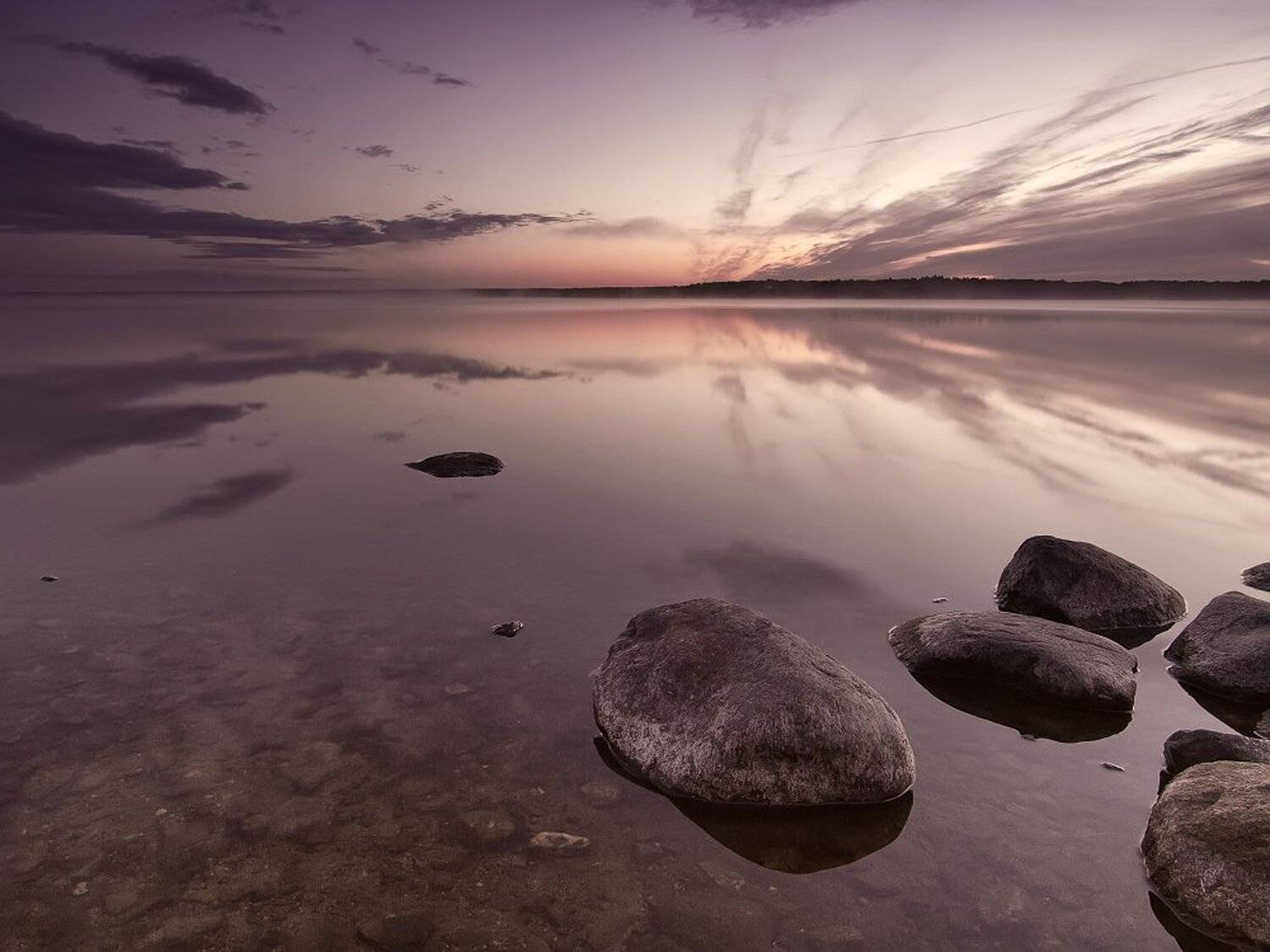 , Максим Евдокимов