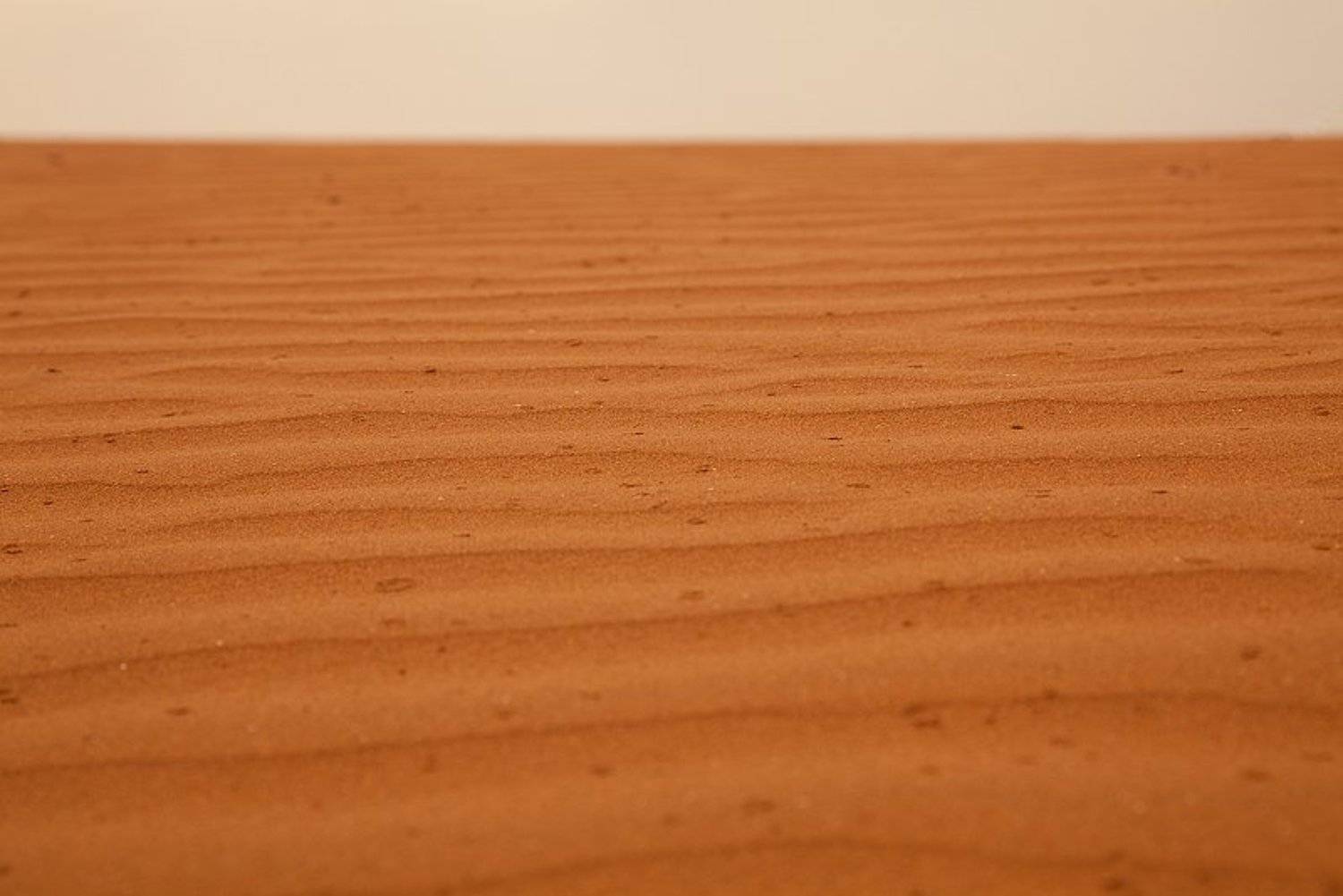 сахара, пустыня, марокко, dobro_pobedit