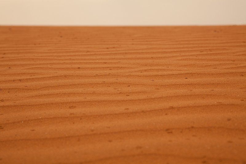 сахара, пустыня, марокко Ливень в Сахаре фото превью