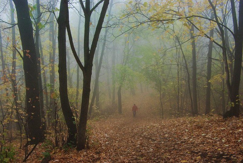 Старый парк фото превью