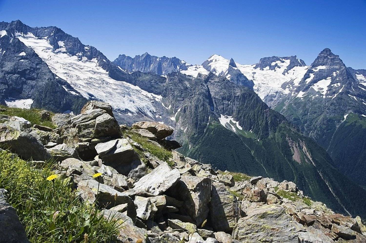 домбай, горы, камни, ледник, цветы, KSergeyV