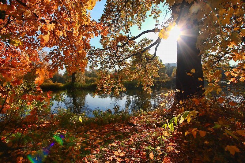 фото, пейзаж, краски, осень, октябрь октябрь уж наступил... фото превью