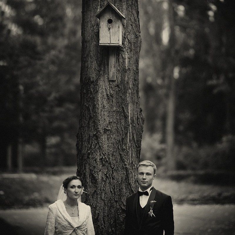 *** фото превью