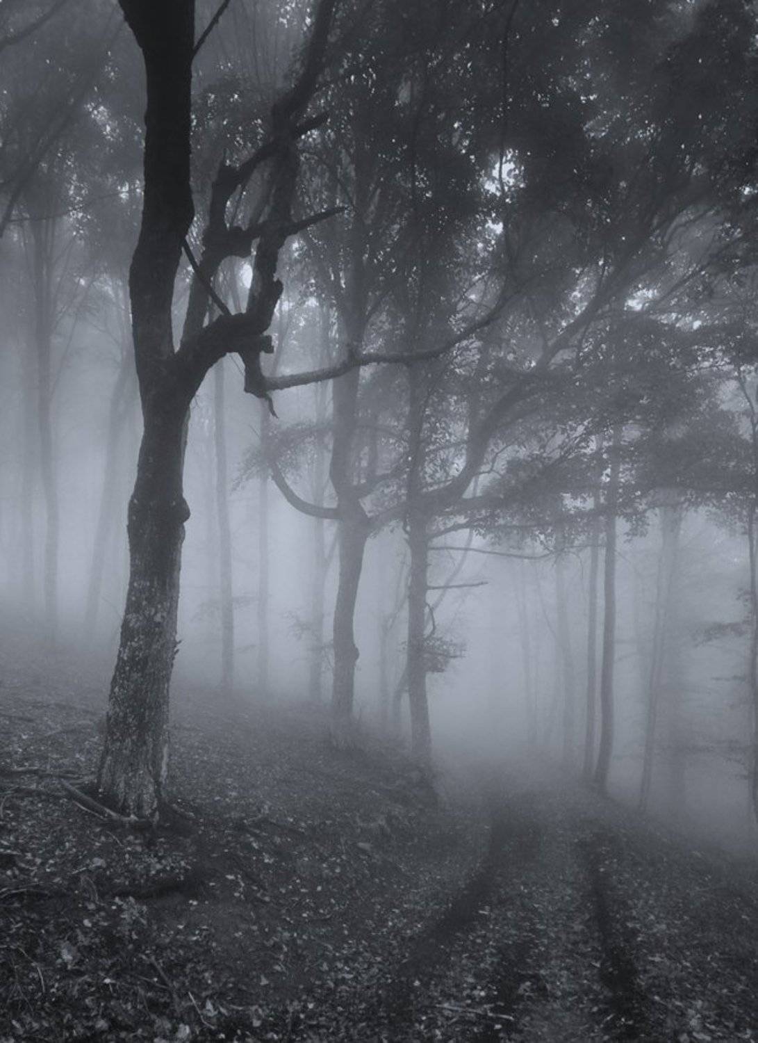 , Павел Хлыпенко