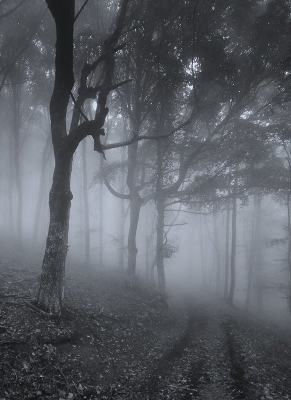 Сонная лощина фото превью