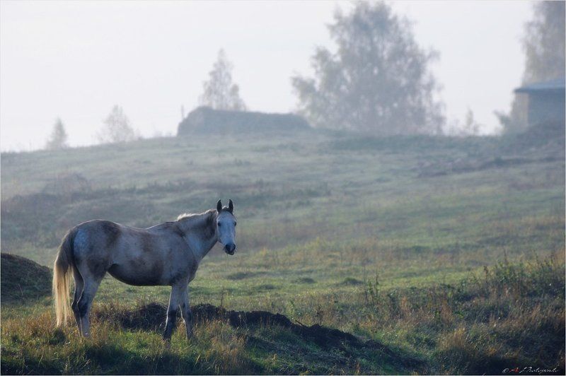 Сон фото превью