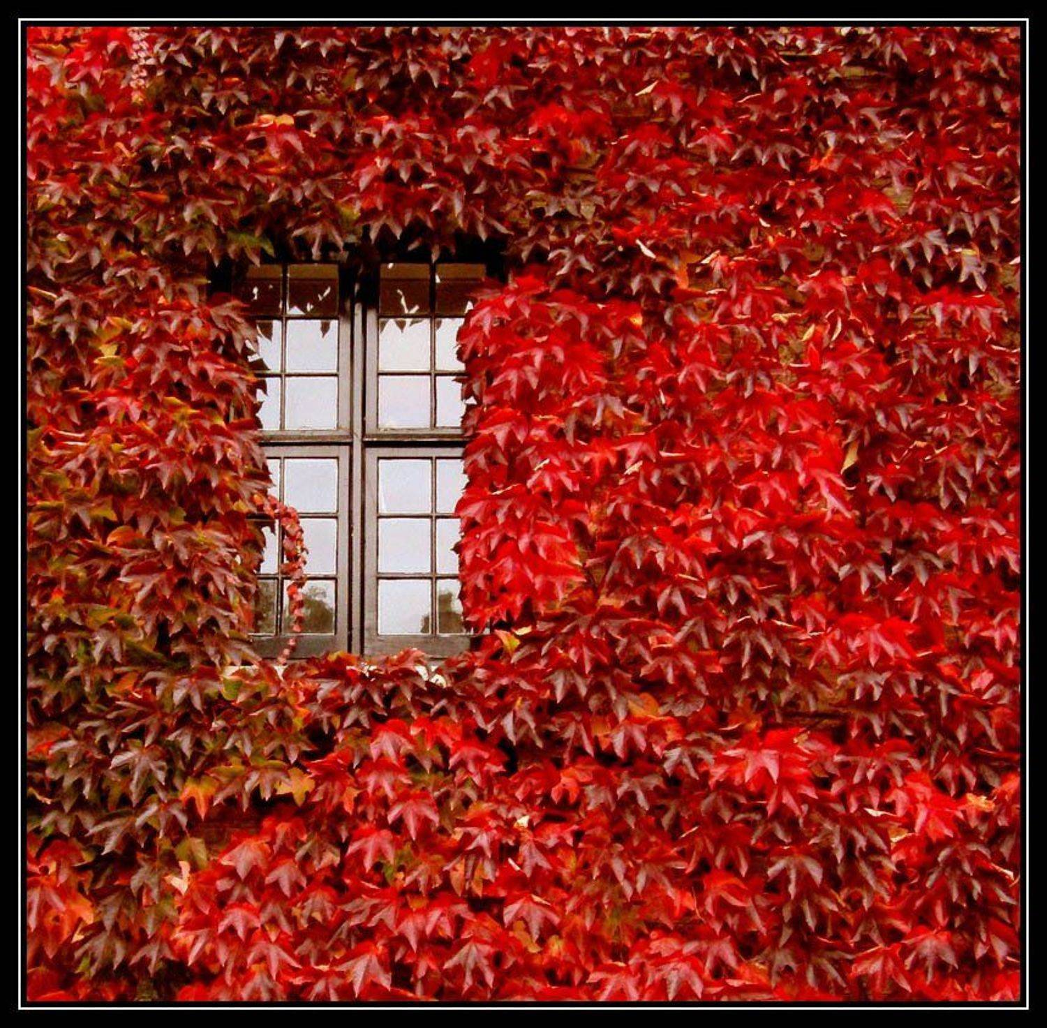 cambridge,england, Yuri Malyshev