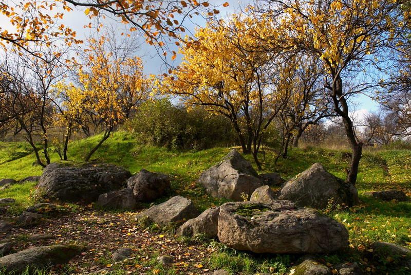 осень,свет,камни,пейзаж,листья,трава,хортица *** фото превью