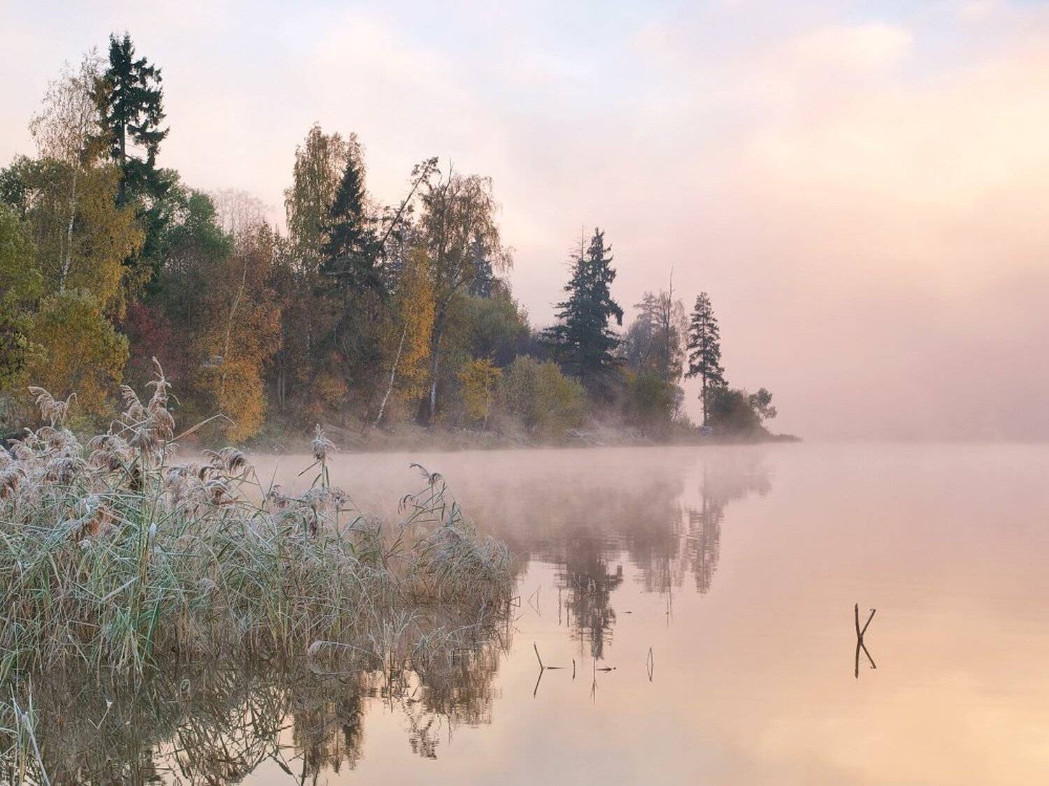 , Максим Евдокимов