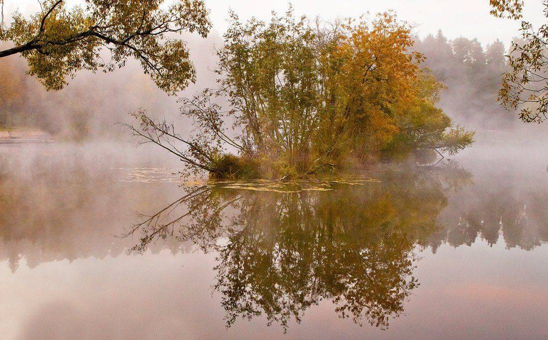 утро, озеро, туман, Сергей