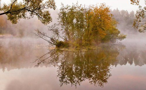 островок осени