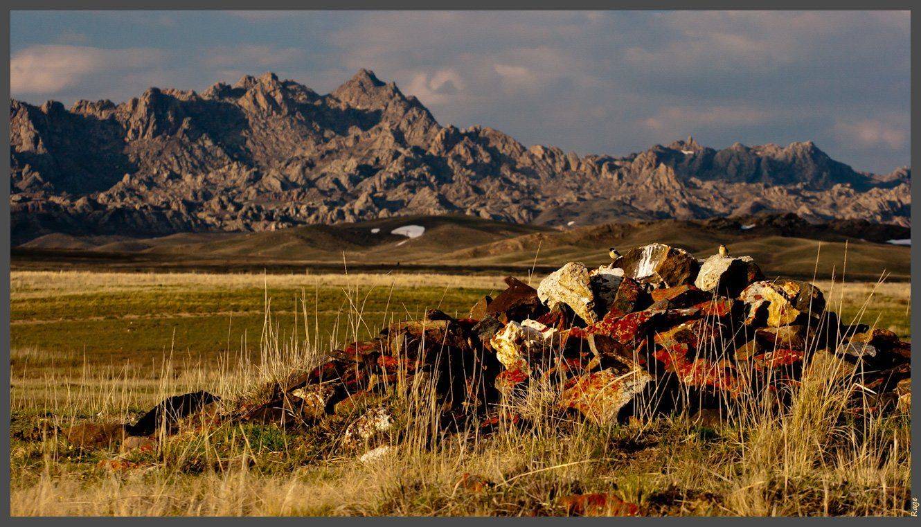 степь, казахстан, свобода, облака, вечер, могила, кочевник, аягуз, курган, Vitaliy Rage