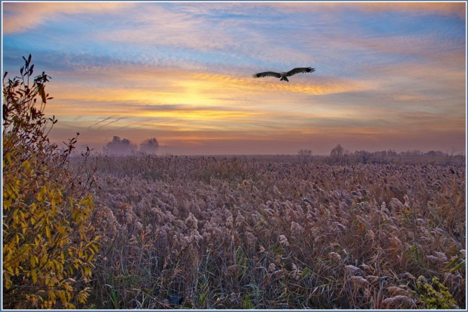 , Андрей Кашлаков