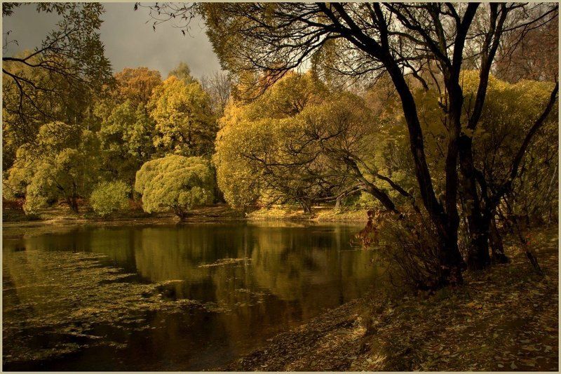 * фото превью