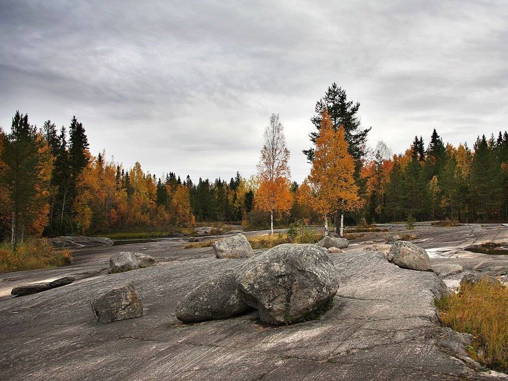 , Александр Коротков