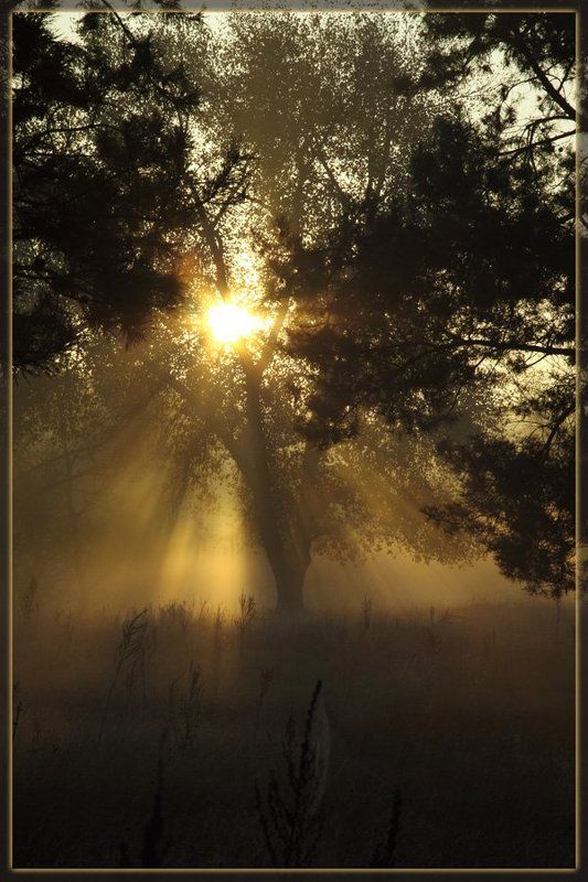 Осень, осень! фото превью