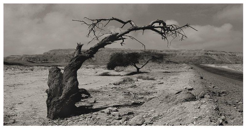 негев  фото превью